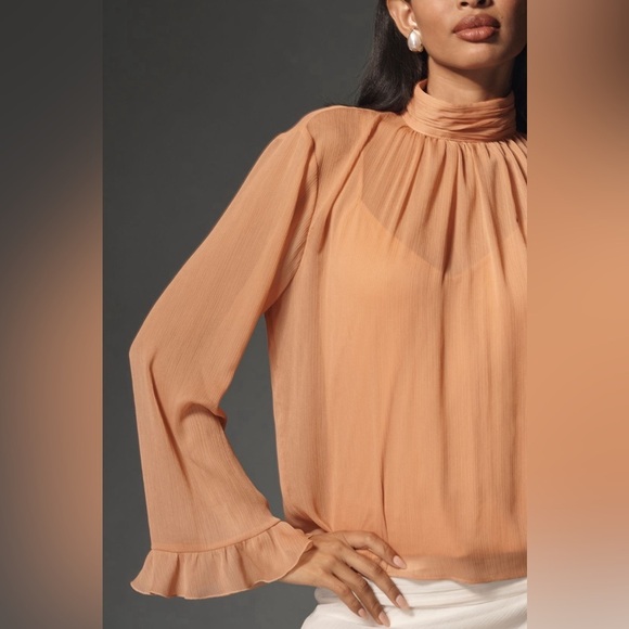 NWT! By Anthropologie Long-Sleeve High-Neck Sheer Blouse - Size XL ☀️ - Picture 2 of 8